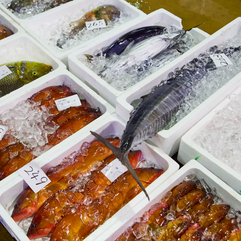 漁業組合とも連携をとって資源管理など島の未来をともに考えていく